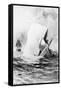 Illustration of the White Whale-A. Burnham Shute-Framed Stretched Canvas