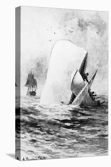 Illustration of the White Whale-A. Burnham Shute-Stretched Canvas