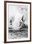 Illustration of the White Whale-A. Burnham Shute-Framed Giclee Print