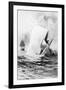 Illustration of the White Whale-A. Burnham Shute-Framed Giclee Print