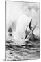 Illustration of the White Whale-A. Burnham Shute-Mounted Giclee Print