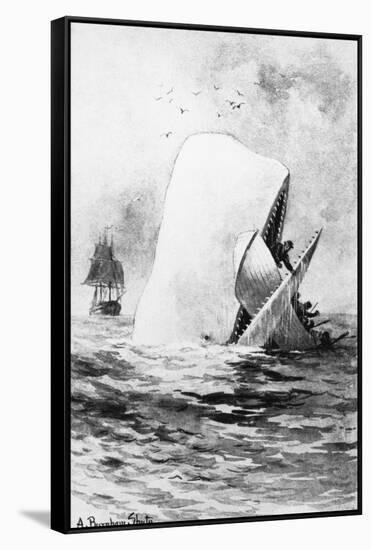 Illustration of the White Whale-A. Burnham Shute-Framed Stretched Canvas