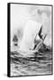 Illustration of the White Whale-A. Burnham Shute-Framed Stretched Canvas