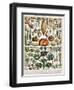 Illustration of Vegetable Varieties, C.1905-10-Alillot-Framed Giclee Print