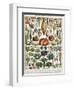 Illustration of Vegetable Varieties, C.1905-10-Alillot-Framed Giclee Print