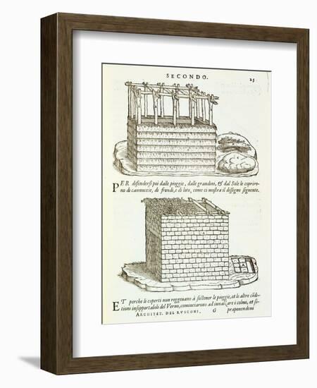 Illustration of Vernacular Architecture-Giovanni Antonio Rusconi-Framed Giclee Print