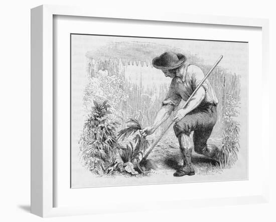 Illustration of Young Benjamin Franklin in a Garden-null-Framed Giclee Print