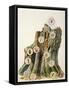 Illustration Representing Ecosystem Comprising Tree Trunk-null-Framed Stretched Canvas