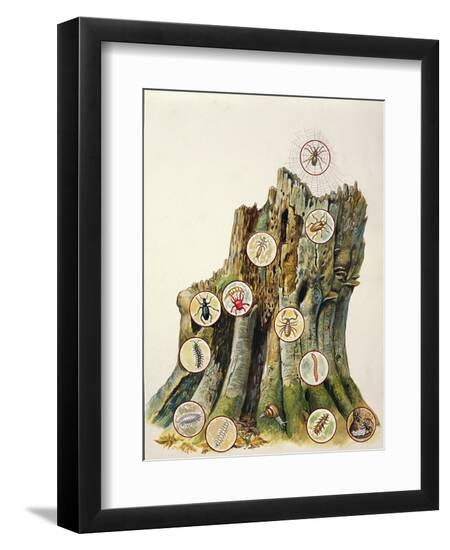 Premium Giclee Print, , large