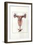 Illustration Representing Female Reproductive System of Kangaroo Macropus-null-Framed Giclee Print