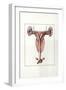 Illustration Representing Female Reproductive System of Kangaroo Macropus-null-Framed Giclee Print