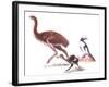 Illustration Representing Moa (Dinornithidae)-null-Framed Giclee Print