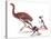 Illustration Representing Moa (Dinornithidae)-null-Stretched Canvas