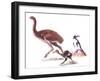 Illustration Representing Moa (Dinornithidae)-null-Framed Giclee Print