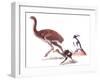 Illustration Representing Moa (Dinornithidae)-null-Framed Giclee Print