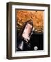 Illustration Showing Apollo 8 in Orbit-null-Framed Premium Giclee Print