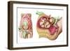 Illustration Showing Caesarean Delivery of Fetus-null-Framed Art Print