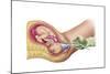 Illustration Showing Delivery of Fetus Using Vacuum Extraction-null-Mounted Art Print