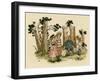 Illustration, the Queen of the Pirate Isle-Kate Greenaway-Framed Art Print