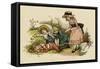 Illustration, the Queen of the Pirate Isle-Kate Greenaway-Framed Stretched Canvas