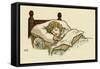 Illustration, the Queen of the Pirate Isle-Kate Greenaway-Framed Stretched Canvas