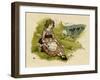 Illustration, the Queen of the Pirate Isle-Kate Greenaway-Framed Art Print