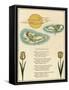 Illustration, to the Sun Door-Kate Greenaway-Framed Stretched Canvas