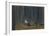 Illustration to the Tale of the Dead Princess and the Seven Knights-Sergei Vasilyevich Malyutin-Framed Giclee Print