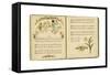 Illustration with Music, a Romp-Kate Greenaway-Framed Stretched Canvas