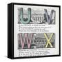 Illustrations Of Letters U, V, W and X: Urchin, Viaduct, Whistle and X-press-null-Framed Stretched Canvas