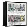 Illustrations Of Letters U, V, W and X: Urchin, Viaduct, Whistle and X-press-null-Framed Stretched Canvas