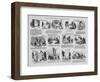 Illustrations of Phrenology, C.1834-David Claypoole Johnston-Framed Giclee Print