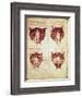 Illustrations of the Foetus, from the So-Called Rhodion Manuscript-null-Framed Giclee Print