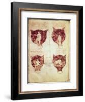 Illustrations of the Foetus, from the So-Called Rhodion Manuscript-null-Framed Giclee Print