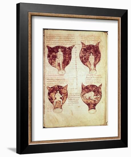 Illustrations of the Foetus, from the So-Called Rhodion Manuscript-null-Framed Giclee Print