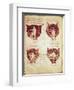 Illustrations of the Foetus, from the So-Called Rhodion Manuscript-null-Framed Giclee Print