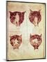 Illustrations of the Foetus, from the So-Called Rhodion Manuscript-null-Mounted Giclee Print