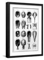 Illustrations of Various Wig Fashions, Plate Vii, Vol.8, from 'Encyclopedie Des Sciences Et…-null-Framed Giclee Print