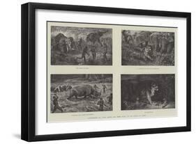 Illustrations of Wild Beasts and their Ways, by Sir Samuel W Baker-null-Framed Giclee Print