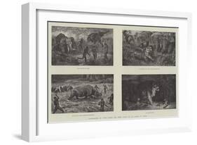 Illustrations of Wild Beasts and their Ways, by Sir Samuel W Baker-null-Framed Giclee Print