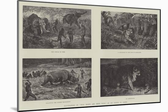Illustrations of Wild Beasts and their Ways, by Sir Samuel W Baker-null-Mounted Giclee Print