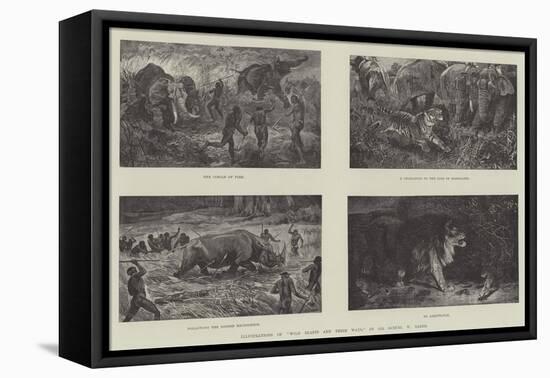 Illustrations of Wild Beasts and their Ways, by Sir Samuel W Baker-null-Framed Stretched Canvas