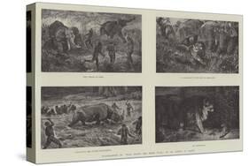 Illustrations of Wild Beasts and their Ways, by Sir Samuel W Baker-null-Stretched Canvas