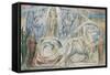 Illustrations to Dante's 'Divine Comedy', Beatrice Addressing Dante from the Car-William Blake-Framed Stretched Canvas