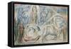 Illustrations to Dante's 'Divine Comedy', Beatrice Addressing Dante from the Car-William Blake-Framed Stretched Canvas