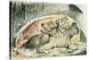 Illustrations to Dante's 'Divine Comedy', Cerberus-William Blake-Stretched Canvas