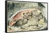 Illustrations to Dante's 'Divine Comedy', Cerberus-William Blake-Framed Stretched Canvas