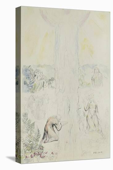 Illustrations to Dante's 'Divine Comedy', Dante in the Empyrean, Drinking at the River of Light-William Blake-Stretched Canvas