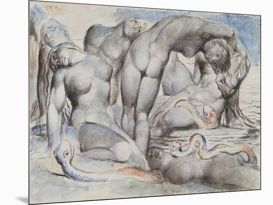 Illustrations to Dante's 'Divine Comedy', the Punishment of the Thieves-William Blake-Mounted Giclee Print