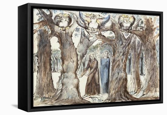 Illustrations to Dante's Divine Comedy, the Wood of the Self-Murderers-William Blake-Framed Stretched Canvas